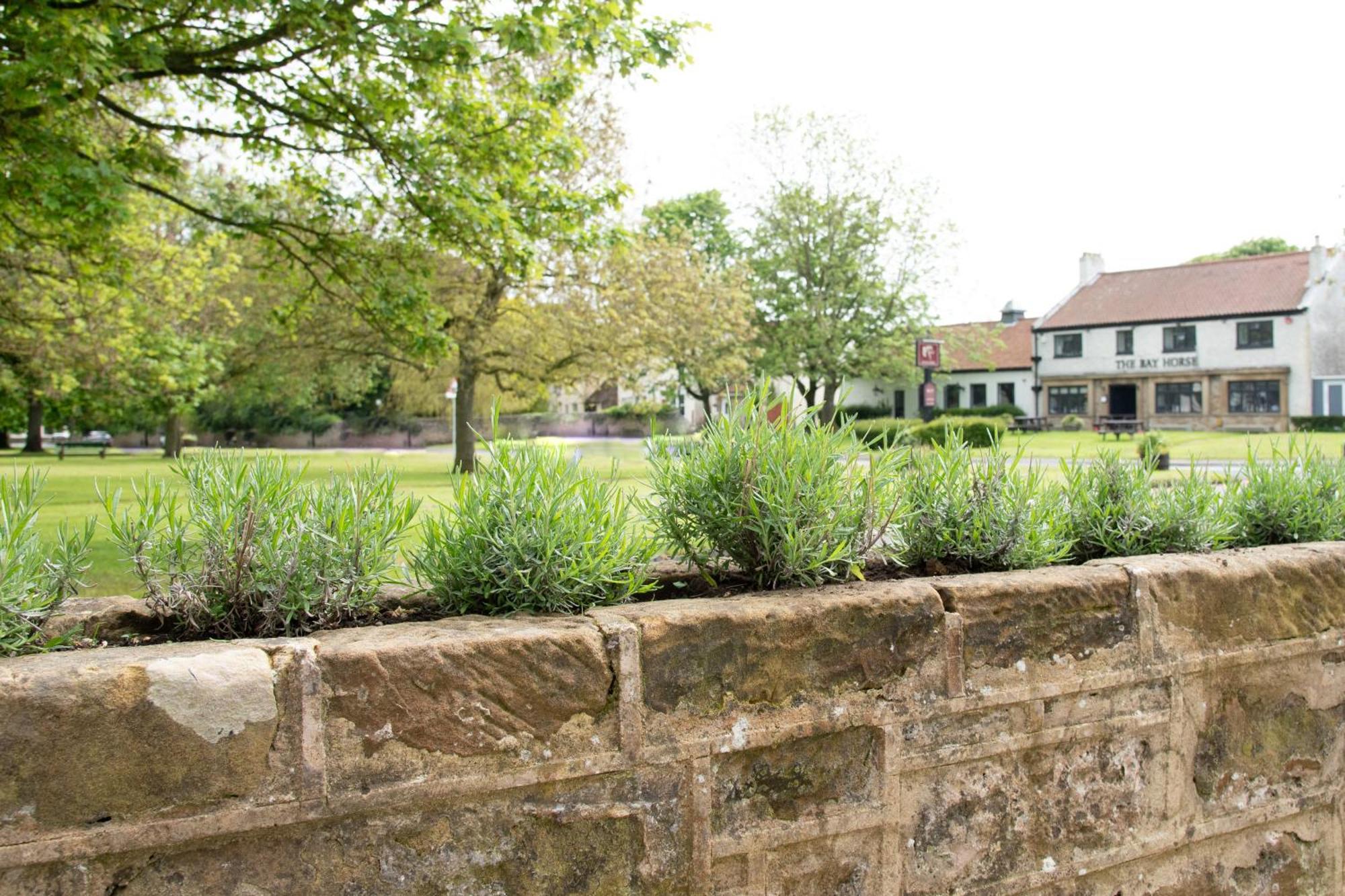 Work And Relax - Fast Wifi, Fireplace & Near Pub Newton Aycliffe Exterior foto